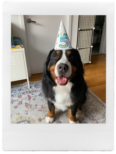Birthday polaroid