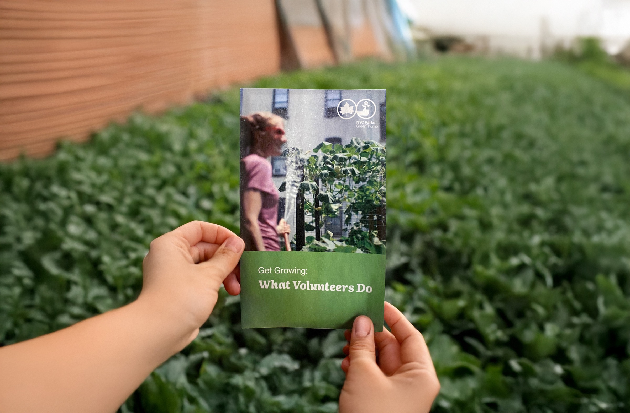 GreenThumb volunteer experience