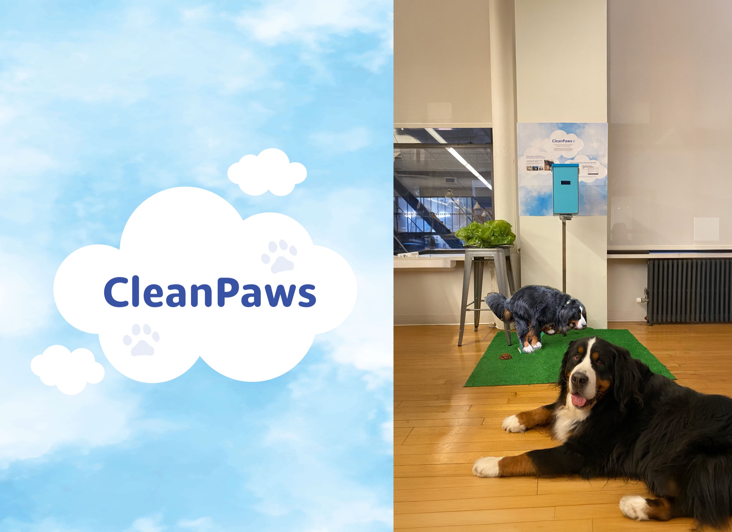 CleanPaws project hero