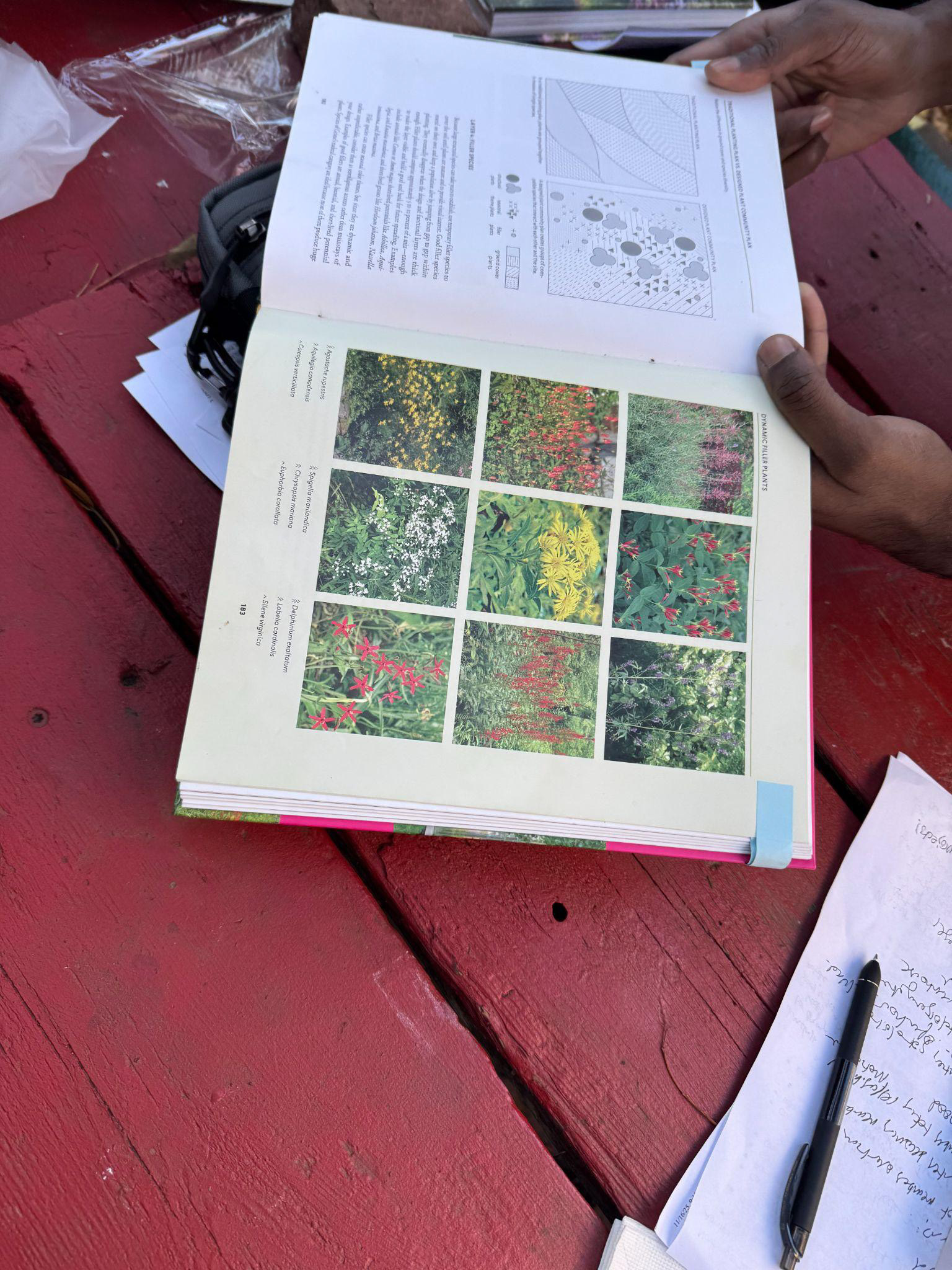 Nature journaling at the workshop